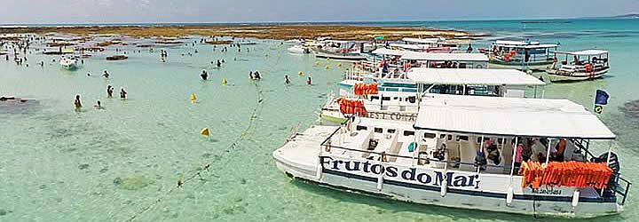 Passeio de barco - Praias de Tamandaré Passeio de barco - Praias de Tamandaré