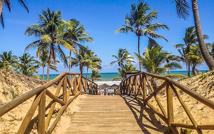 Ponte para praia do Forte - Bahia Ponte para praia do Forte - Bahia