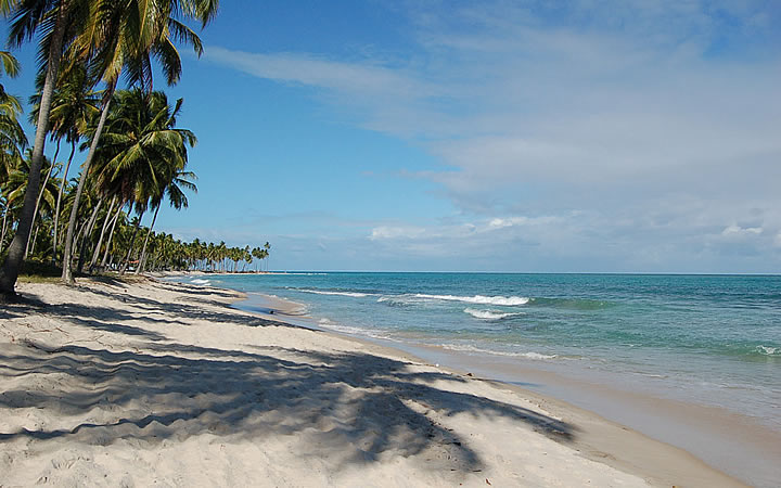 Praia de Tamandaré Praia de Tamandaré