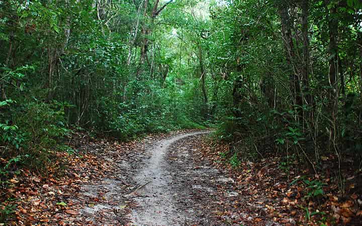 Reserva de Mata Atlântica - Baía Formosa