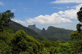 Área verde no Parque Nacional da Tijuca