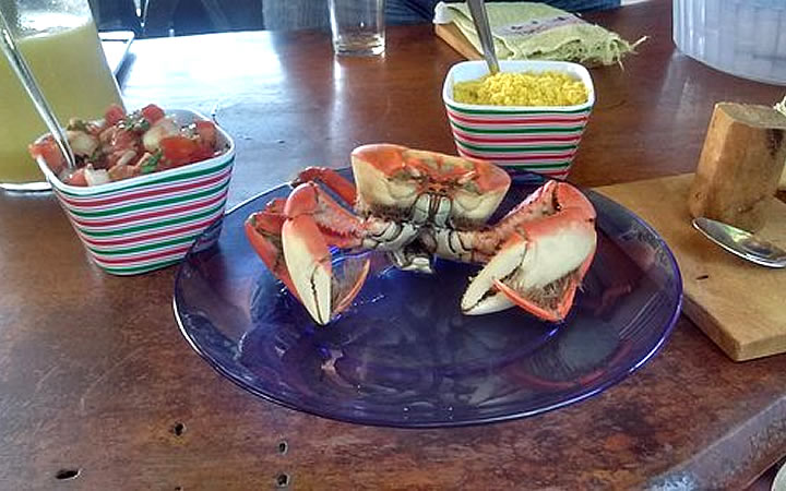 Caranguejo no Tucanos Restaurante