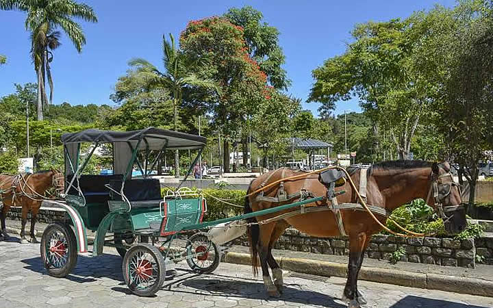 Passeio de charretes - Circuito das águas Passeio de charretes - Circuito das águas
