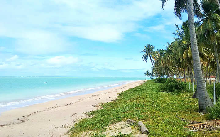 Praia na Rota ecológica dos Milagres Praia na Rota ecológica dos Milagres