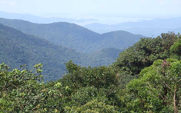 Parque Municipal do Cerrado Parque Municipal do Cerrado