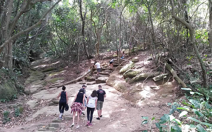 Pessoas dentro da mata subindo a Trilha Morro da Urca Pessoas dentro da mata subindo a Trilha Morro da Urca
