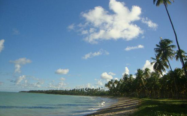 Praia do Patacho Praia do Patacho