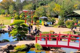 Parque Maeda