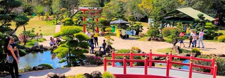 Parque Maeda Parque Maeda