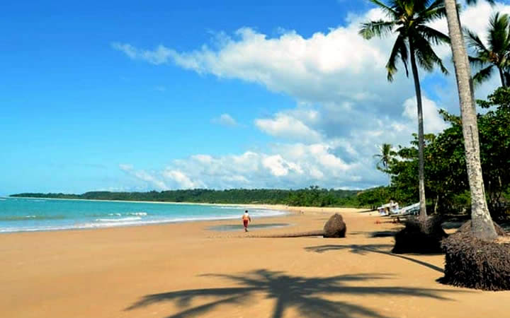 Porto Seguro Praia com Coqueiros Porto Seguro Praia com Coqueiros
