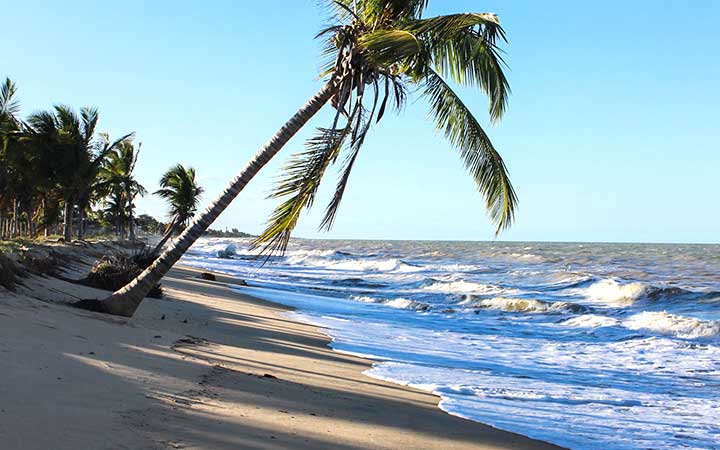 Orla da Praia de Alcobaça em Prado na Bahia - Ondas chegando na areia e árvores de coqueiro perto da praia Orla da Praia de Alcobaça em Prado na Bahia - Ondas chegando na areia e árvores de coqueiro perto da praia