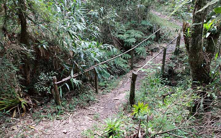 Trilha na Serra da Bocaina