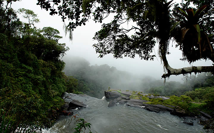 Cachoeira e vegetação São José do Barreiro Cachoeira e vegetação São José do Barreiro