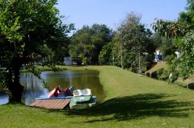 Gramado com árvores e lago