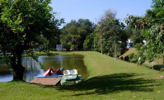 Gramado com árvores e lago