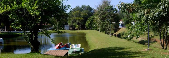 Gramado com árvores e lago Gramado com árvores e lago