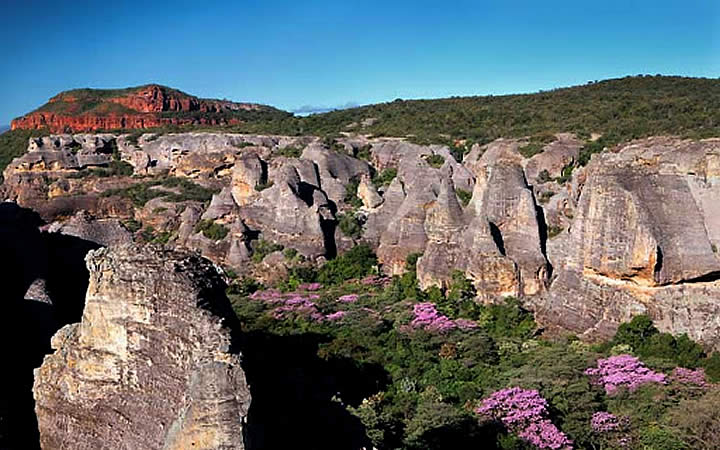 Montanhas e vegetação Serra das Confusões Montanhas e vegetação Serra das Confusões