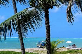 São José da Coroa Grande Pernambuco