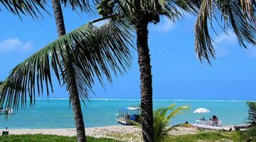 São José da Coroa Grande Pernambuco