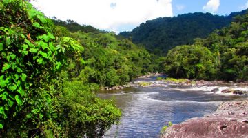 Fonte: Wikimedia Commons