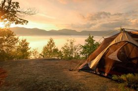 Barraca de acampamento e vegetação