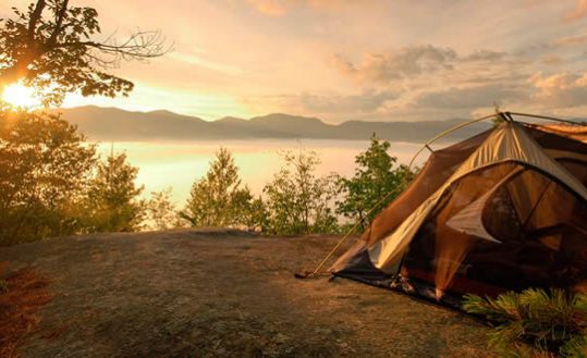 Barraca de acampamento e vegetação