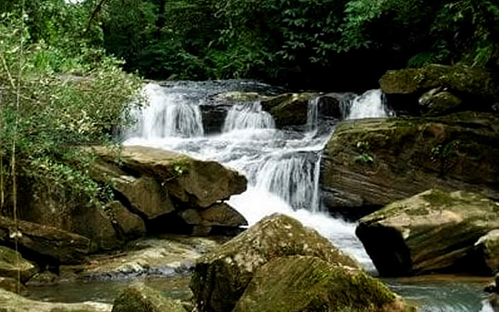 Cachoeira Estrada da Graciosa Cachoeira Estrada da Graciosa