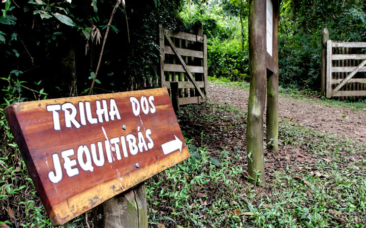 Parque Vassununga - Santa Rita do Passa Quatro SP Parque Vassununga - Santa Rita do Passa Quatro SP