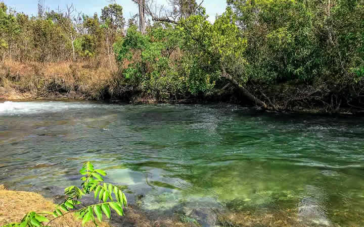 Rio de Águas Claras - Parque das Emas Rio de Águas Claras - Parque das Emas