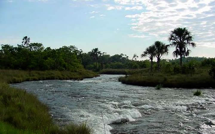 Rio - Parque das Emas Rio Parque das Emas
