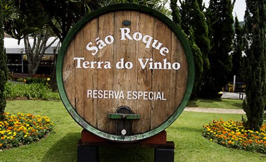 Rota do Vinho São Roque