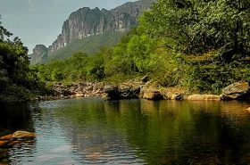 Vegetação e lago calmo - Parques Nacionais