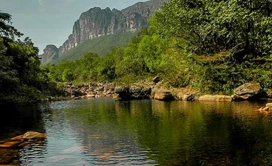 Vegetação e lago calmo - Parques Nacionais