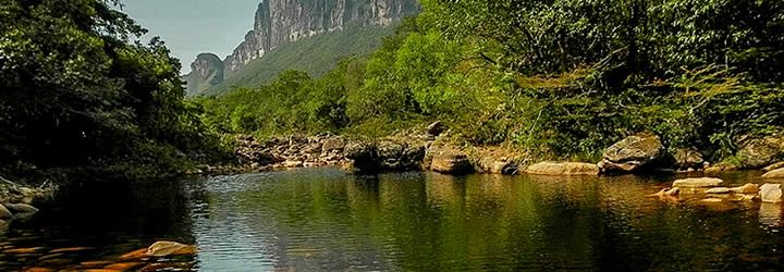 Vegetação e lago calmo - Parques Nacionais Vegetação e lago calmo - Parques Nacionais