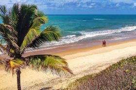 Praia de Alagoas Praia de Alagoas