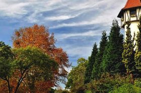 Rota Romântica Estrada e Vegetação Rota Romântica Estrada e Vegetação