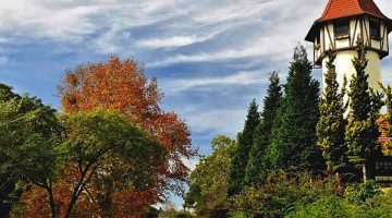 Rota Romântica Estrada e Vegetação