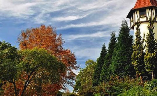Rota Romântica Estrada e Vegetação