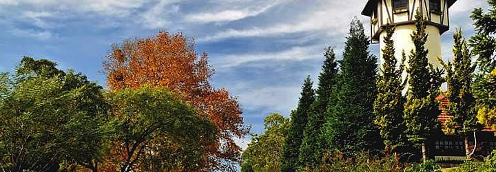 Rota Romântica Estrada e Vegetação Rota Romântica Estrada e Vegetação