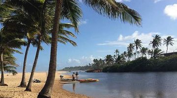 Linha Verde Bahia Imbassaí